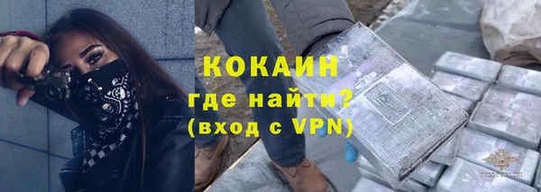 дживик Алзамай
