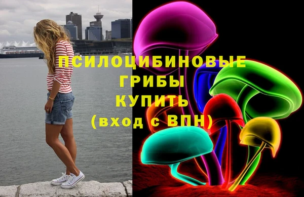 дживик Алзамай