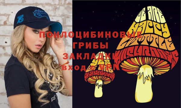 мяу мяу мука Алексеевка